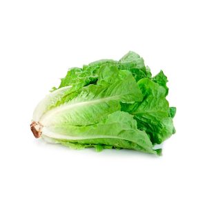 LECHUGA COSTINA - X UNIDAD