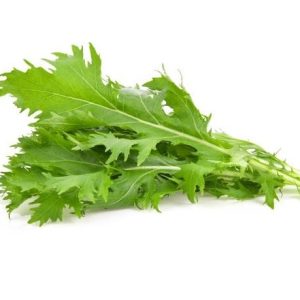 MIZUNA VERDE Y MORADA $1500 CAJITA