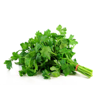 Perejil-planta-medicinal