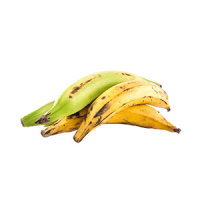 platano-barraganete-amarillo